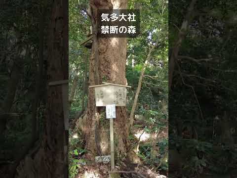 気多大社「入らずの森」超入りたい #shorts