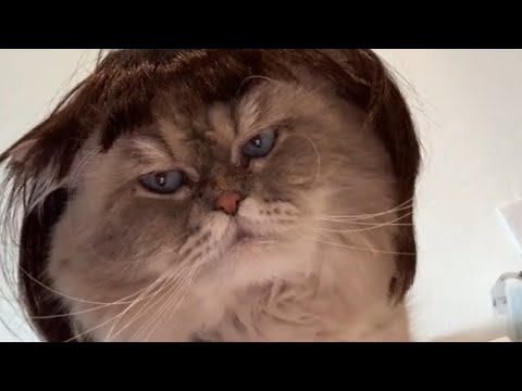 Tiktoks That Made Me Spit Out My Dr Pepper