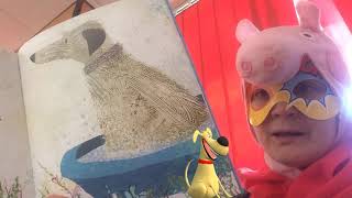 The Masked Reader 1