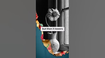 Overcoming Self-Pity | Motivational Clips from Toby Robbins & Theo Von