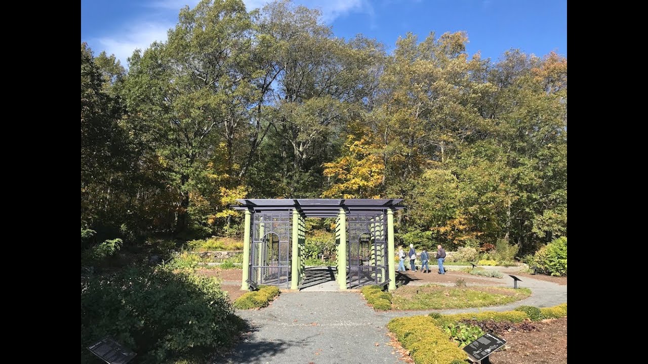 Fall Foliage In Peak Season At Tower Hill Botanic Garden Youtube