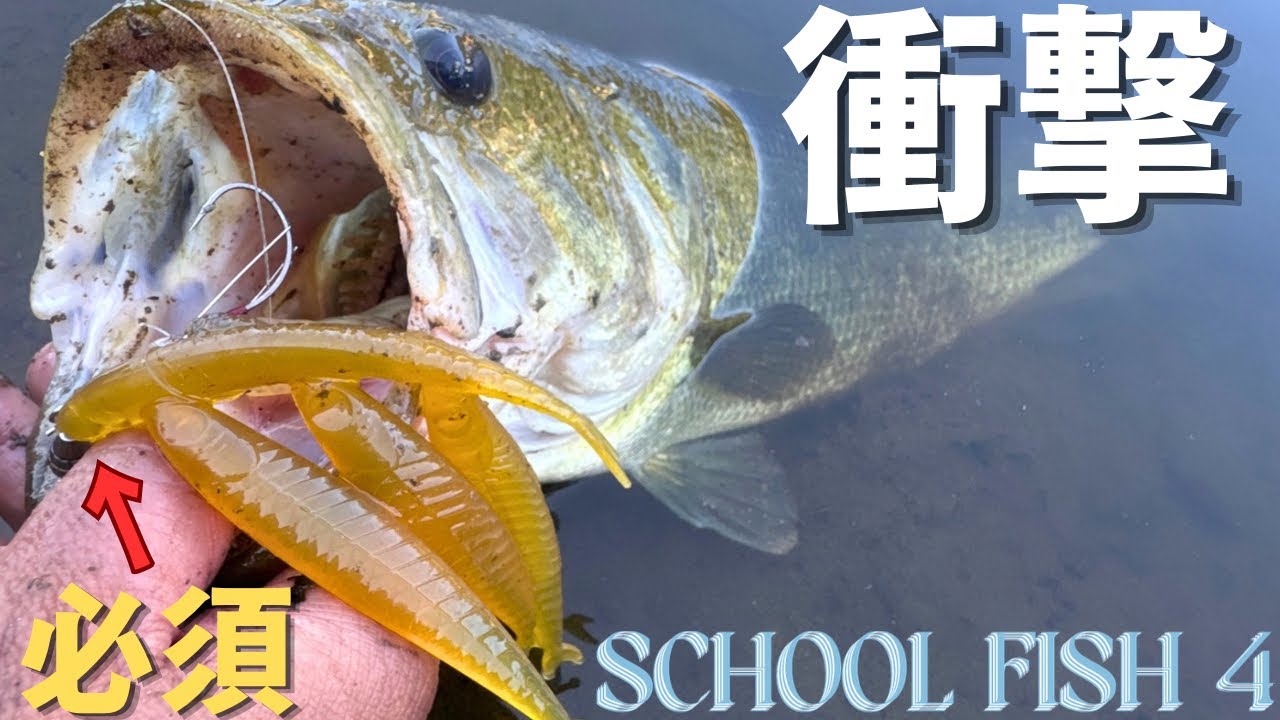 バスフィッシング革命　バスプロという超人たち YouTube