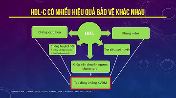 Nguy cơ tim mạch tồn dư: Giải pháp can thiệp toàn diện. Gs. Ts. Bs. Nguyễn Đức Công