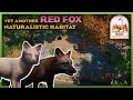 Yet Another Red Fox Exhibit! | Wild Woods Zoo | Planet Zoo Twilight Pack