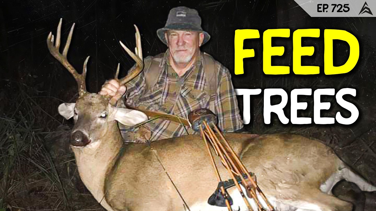 Inside 15 Yards: Robert Carter’s Bowhunting Tactics