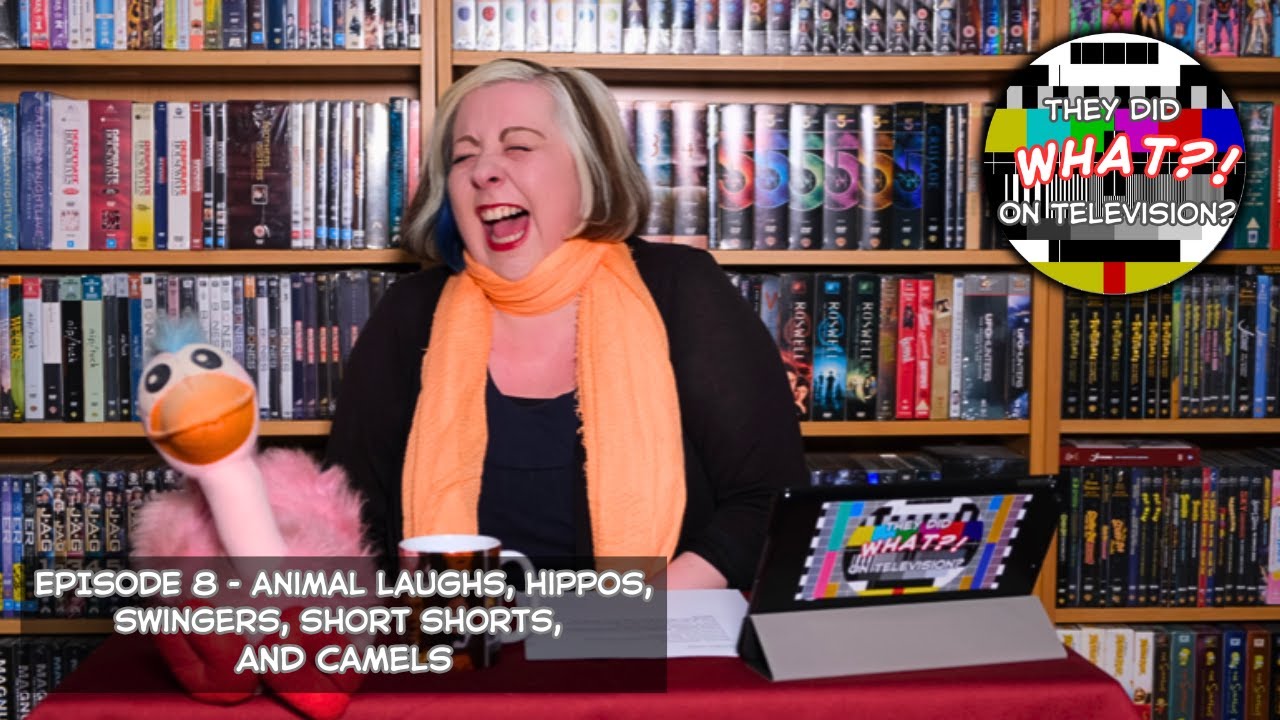 Animal Laughs, Hippos, Swingers, Short Shorts & Camels - They Did WHAT? On Television? Episode Eight