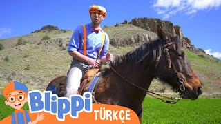 Blippi Çiftliği Ziyaret Ediyor | Blippi Türkçe - Çocuklar için eğitici videolar | Türkçe Dublajlı