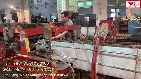 Extract banana tree fiber