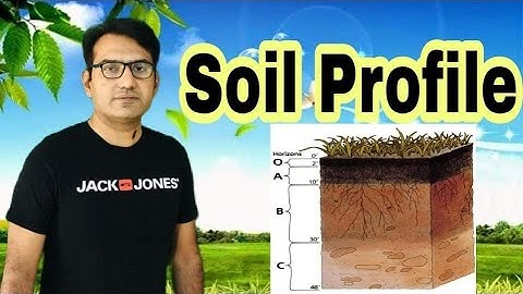 Soil Profile I Saad Rahoojo