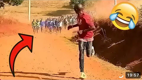 Video 11686311: laugh funny fails cat, cat dog fail funny, cat animal fails funny