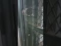 119구급대 출동영상 참고 (대전소방 )(많이 시청해주세요)♡♡♡