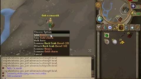 Rune4Death reborn: New Rsps