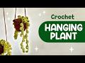 How To Crochet A Hanging Plant Tutorial Beginner Friendly Home Decor Lala Crochet Boutique