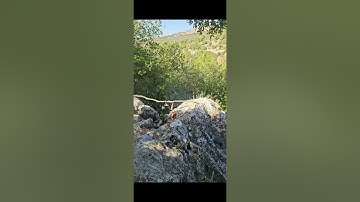 القارئ عمر الهاشمي سوره سبأ