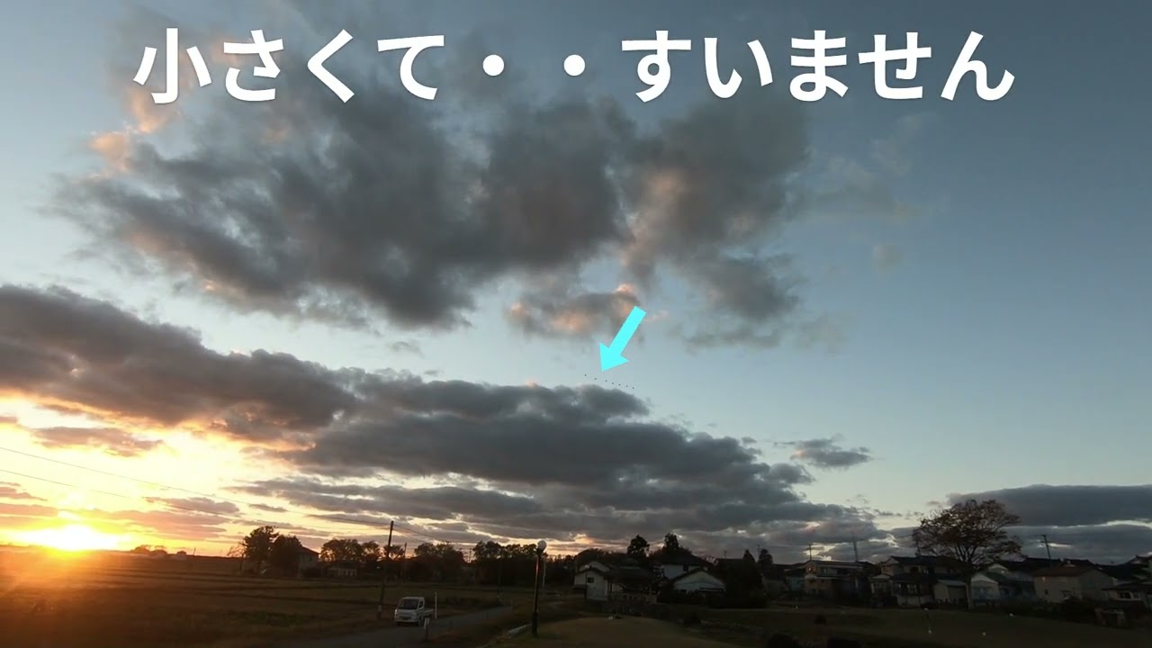 夕暮れどきはさみしそう