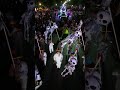 Desfile de Catrinas 💀📸 #catrinas #desfilecatrinas #diademuertos #catrina