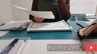 졸린 영상 관세법 1조~4조 ASMR