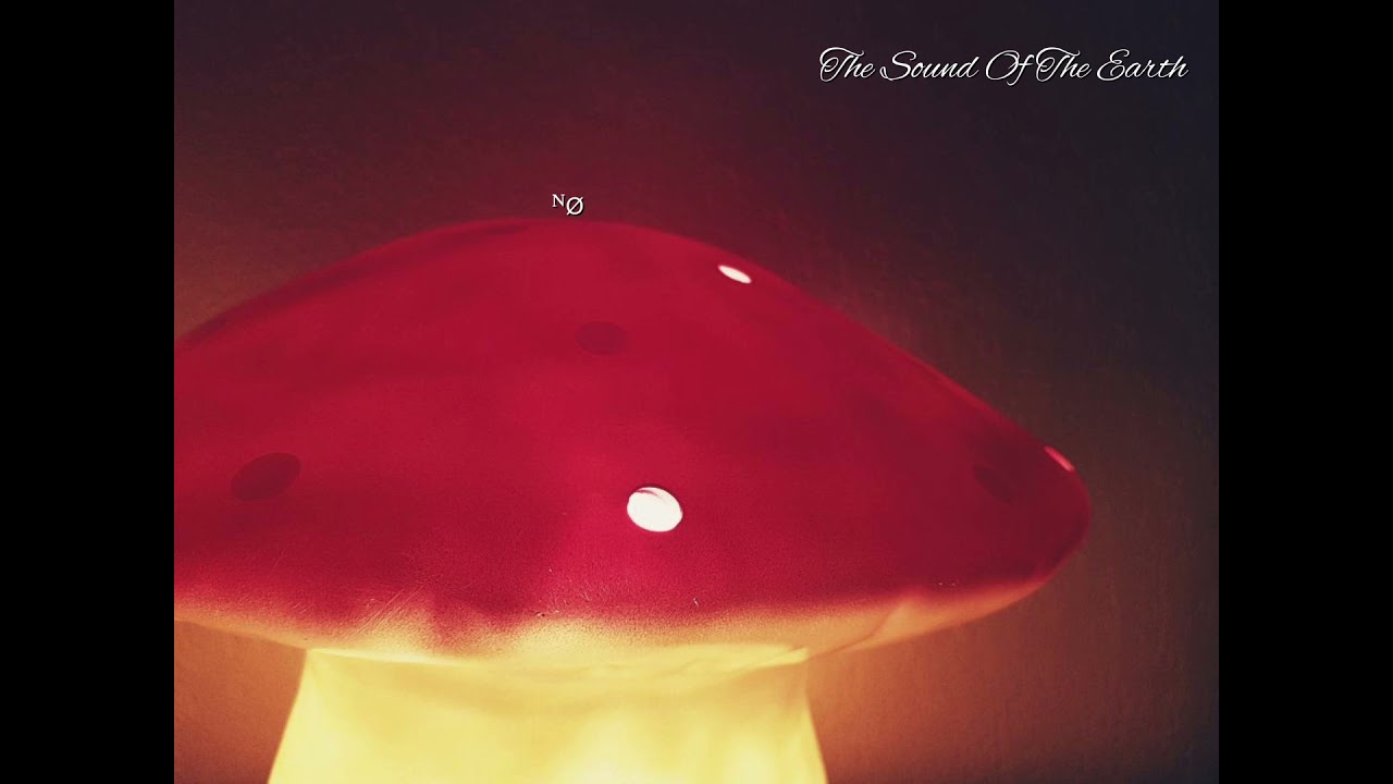 NØ - The Sound Of The Earth (Chanson originale)
