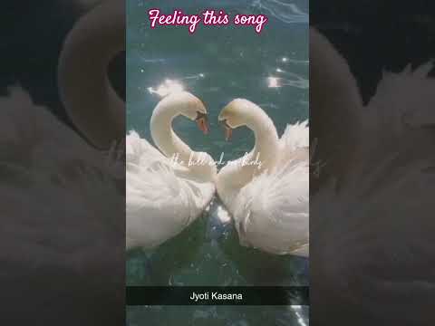 Jannatein Agar Yahin Tu Dikhe KyonNahin Hamari Adhuri Kahani ArijitSingh FEEL THE SONG