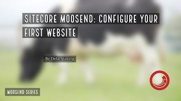 🐄 Sitecore Moosend: Setting up your first Website