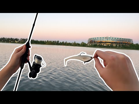 Mulloway Series EP 1 INSANE HOOK-UP at Optus Stadium