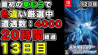 【ダイパリメイク】最初の草むらで色違い見つけるまでストーリー進めない地獄縛り~13日目~