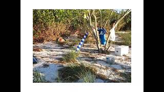 Panther Key camping trip 10,000 islands