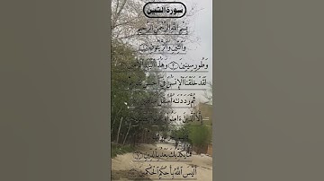 SURAH AT TIN BEAUTIFUL VOICE 😍 سورة التين #egzonibrahimi #surahattin #attin