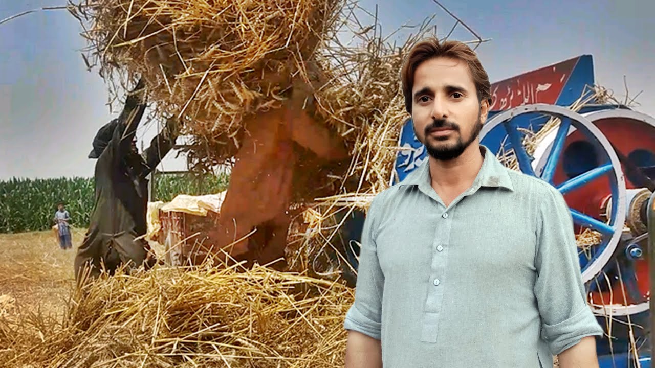 Waheed Shah Riar Farm Wheat Harvest Or Threshar Lagwai | Pakistan Farming Life | Fakhar Mb ...
