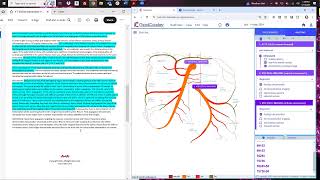 5/15/2024 - Mesenteric Arteriogram with Embolization 10 11 23 Cracking The Ir Code Case Study Mesenteric Angiogram With Embolization