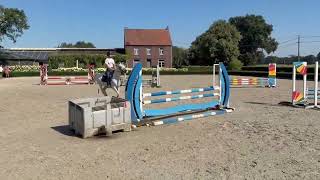 DHT 20-08-2026: Tweety, mare, 2017 PONY