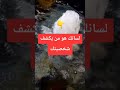 لسانك يكشف شخصيتك لسانك هو خطرك التنمية البشرية 