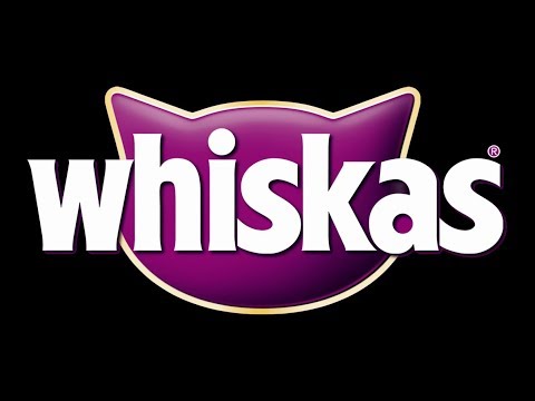 Картинки вискаса ютубера