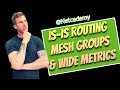 Get The Most Out Of Is-is Mesh Groups And Wide Metrics!