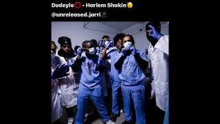 Dudeylo x Bloodie x BBG Steppa - Harlem Shaking (Unreleased Full Leak)