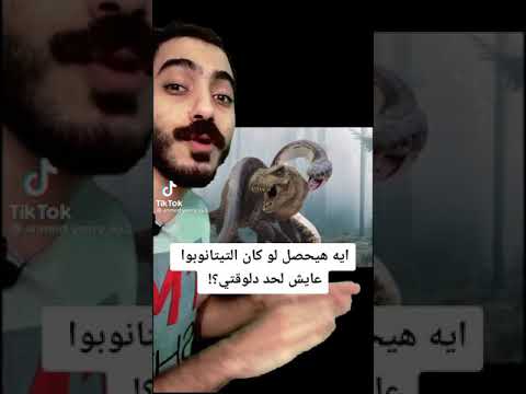 فيديو: ثعبان كاليفورنيا - Lampropeltis كاليفورنيا الزواحف سلالة هيبوالرجينيك ، الصحة ومدى الحياة