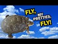 Flying for the ontario turtle conservation centre