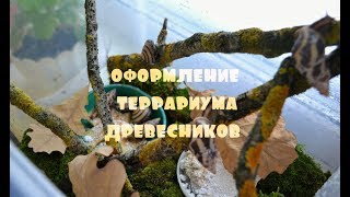 ОФОРМЛЕНИЕ ТЕРРАРИУМА ДРЕВЕСНЫХ УЛИТОК ОФОРМЛЕНИЕ ТЕРРАРИУМА ДРЕВЕСНЫХ УЛИТОК