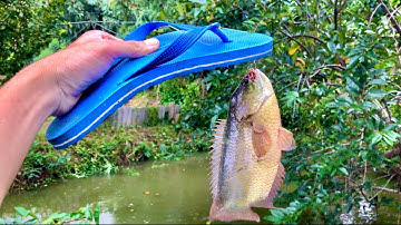 Câu Cá Bằng Dép