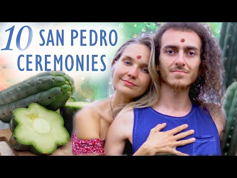 Our San Pedro cactus experience (Huachuma | Mescaline)