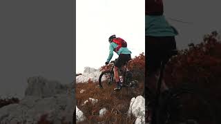 Switzerland And The Alps With Letstraveleuro