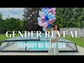 Přípravy na gender reveal a jde na mě hnízdění  | VLOG