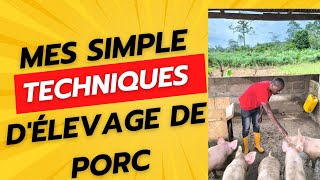 Voici Mes Techniques Simples Que Japplique Pour Réussir Mon Élevage De Porc