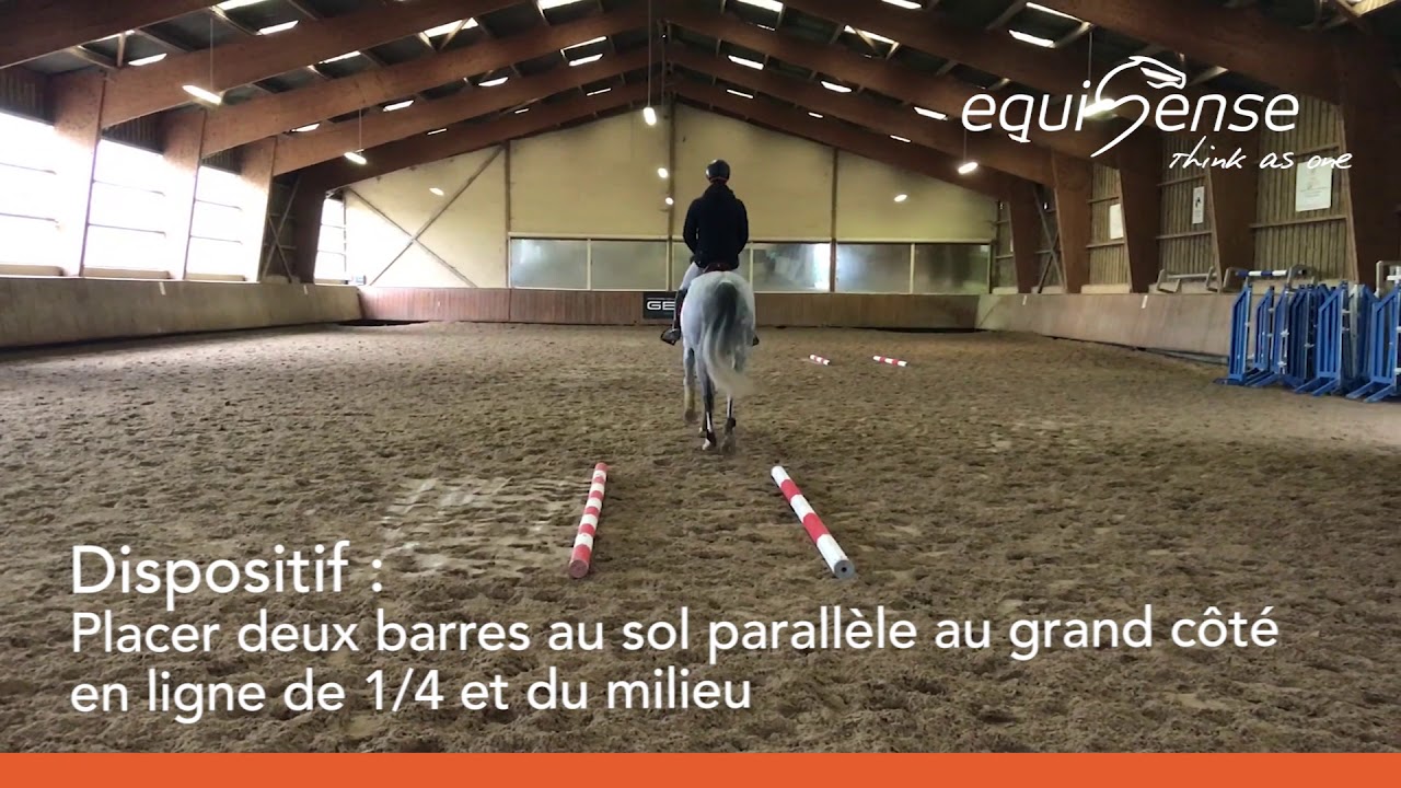 L'exercice du Sapin avec Victor Levecque - Equisense