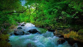 Relaxing River Sound calming the soul, for sleeping, stress relief, for studying, for yoga