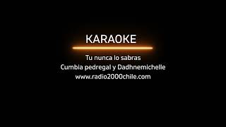 karaoke tu nunca lo sabras cumbia pedregal y daphnemichelle