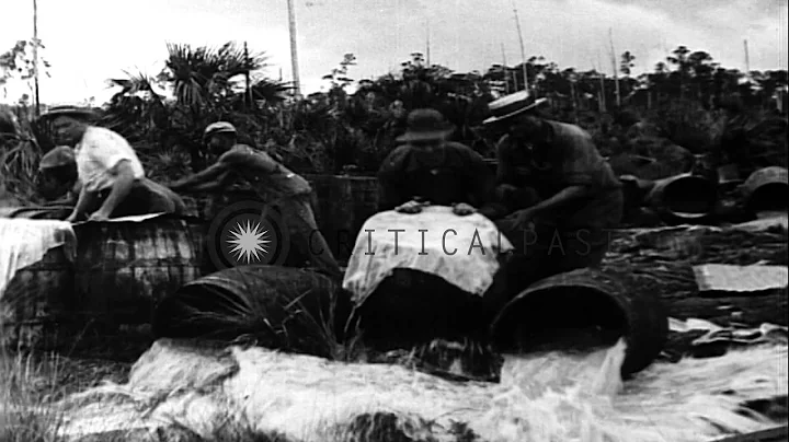 US Senator William Edgar Borah tells fellow legisl...
