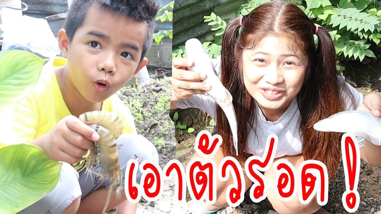 หากินเอาตัวรอด ep1  / หาอาหาร   จับปลา คลองหลังบ้าน /   ต้นน้ำ