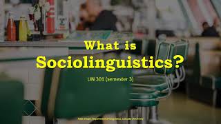 What is Sociolinguistics (LIN 301)