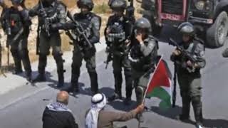 Story wa palestina